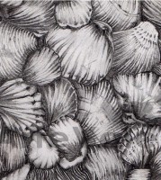 /album/illustrazioneartegrafica-di-valentinarusso/a38-jpg/